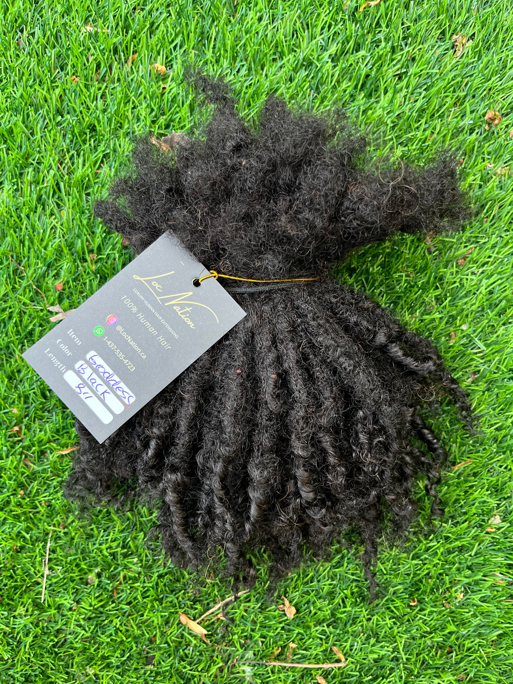 Goddess (100 Strands)